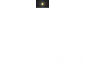 Das beste Leiterverkaufsangebot auf dem Markt